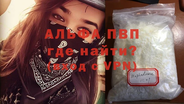 дмт Дмитриев