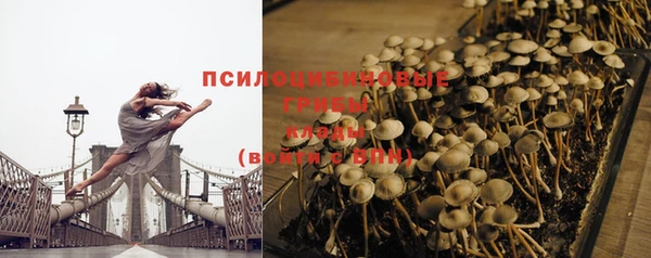 дмт Дмитриев