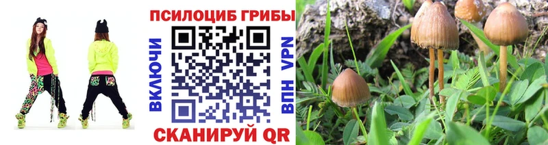 Галлюциногенные грибы мухоморы  Купить где  Александровск-Сахалинский 