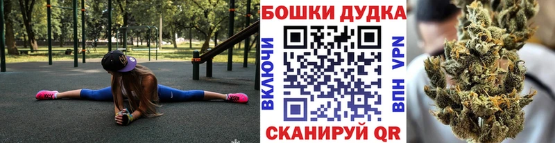 Купить  Александровск-Сахалинский  Каннабис план 